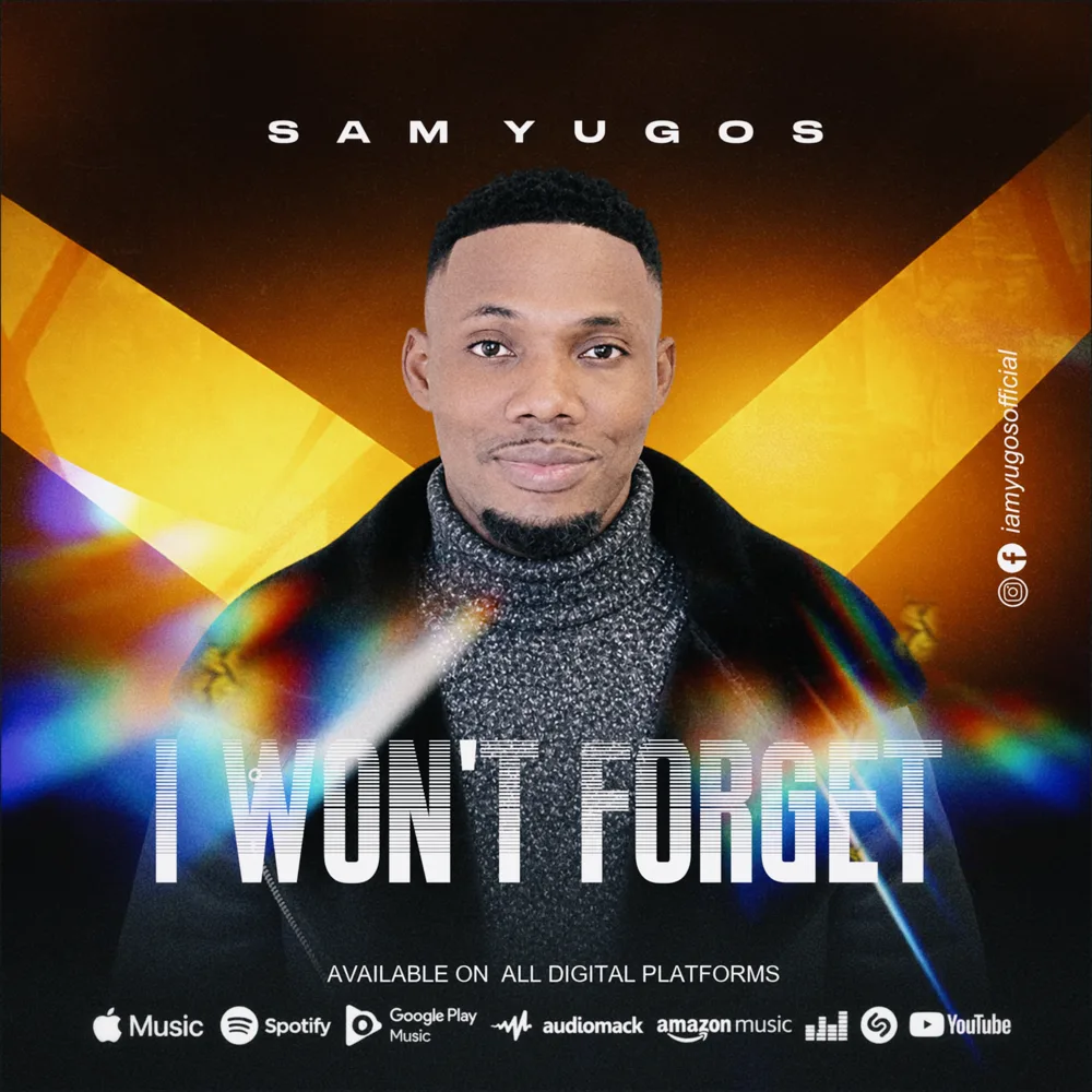 I Won't Forget - single cover